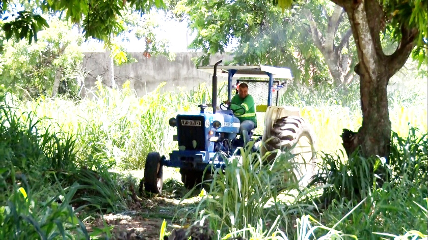 Prefeitura realiza a roçada de áreas em que o proprietário não mantém o terreno limpo.