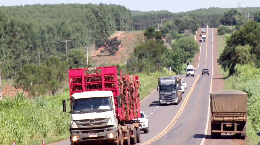 Número elevado de acidentes reforça a necessidade de duplicação da BR-262, entre Três Lagoas e Campo Grande - Max Silva/TVC