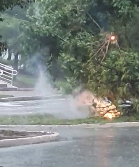 Árvore cai em fiação de energia em frente ao TJ-MS - Foto: Reprodução/Vídeo