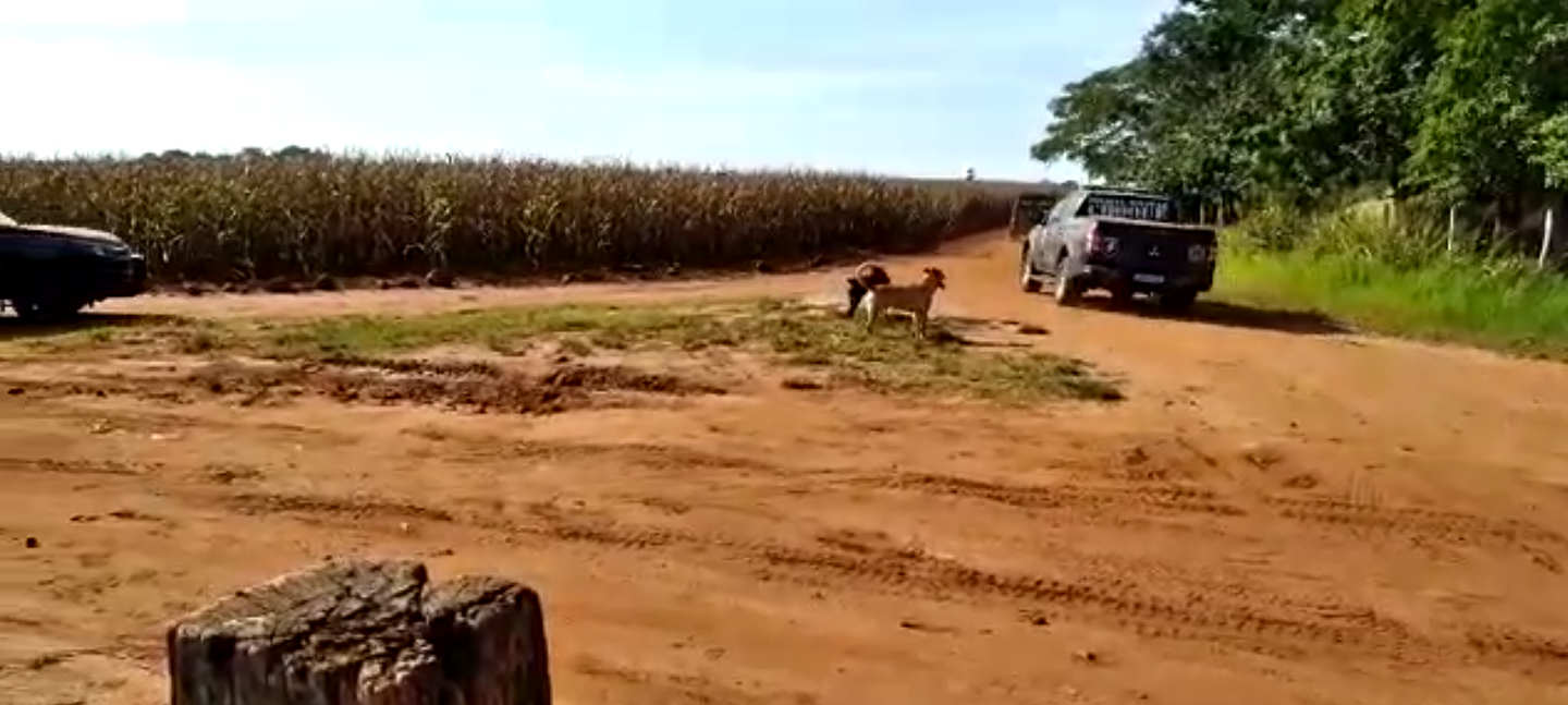 Dez pessoas sofreram ferimentos durante confronto na última sexta-feira e uma morreu - Foto: Reprodução