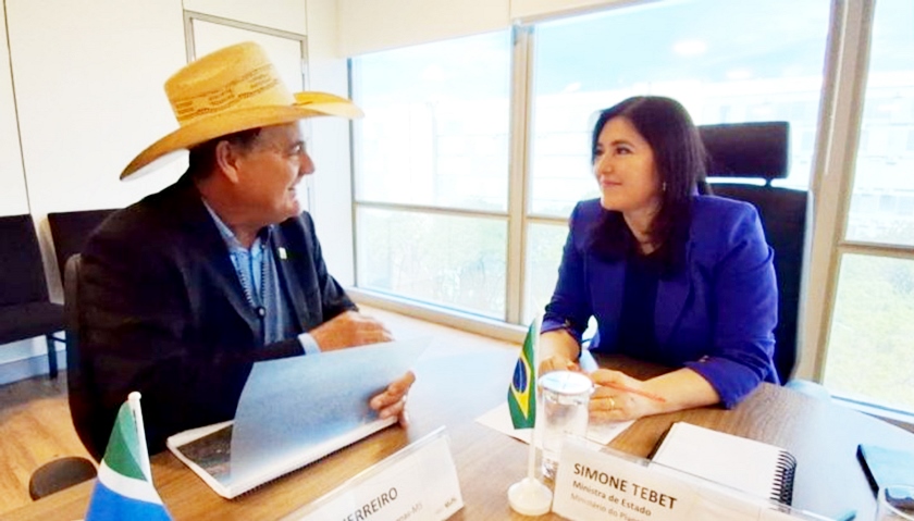 Reunião de Guerreiro com a ministra Simone Tebet. - Foto: Divulgação/Assessoria