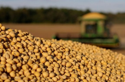 A soja em grão aparece como primeiro produto na pauta de exportações, com 25,09% do total exportado em termos do valor - Foto: Divulgação