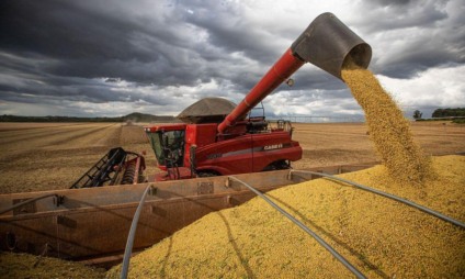 O estudo prevê um ano de recordes na produção da soja, principal destaque que deve puxar a alta neste ano - Foto: Divulgação