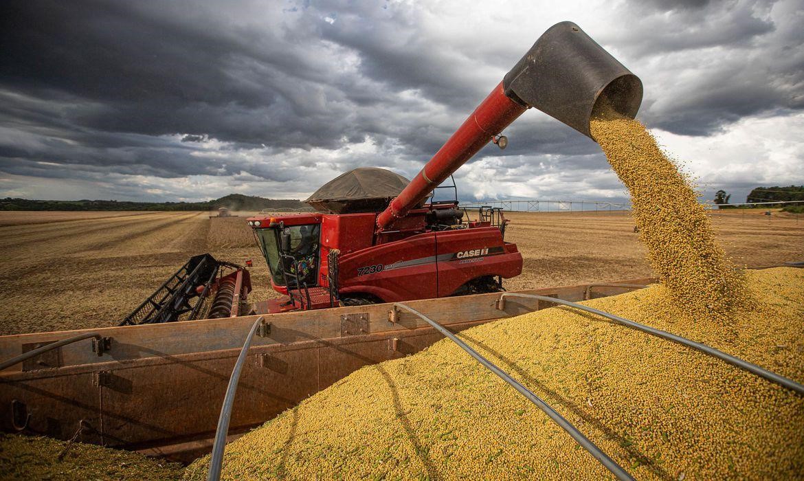 O estudo prevê um ano de recordes na produção da soja, principal destaque que deve puxar a alta neste ano - Foto: Divulgação