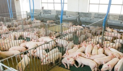 Do total de recursos, R$1,1 bilhão é destinado ao FCO Rural e - Foto: Semadesc