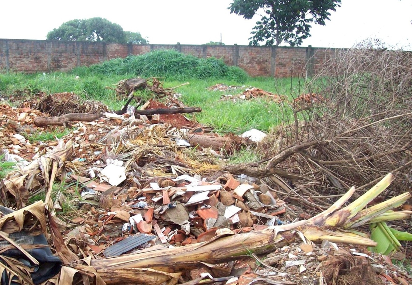 Entulho e galhos jogados em terreno baldio - ARQUIVO