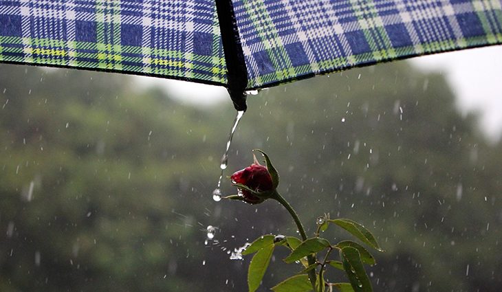 Campo Grande terá céu nublado com pancadas de chuva e trovoadas isoladas