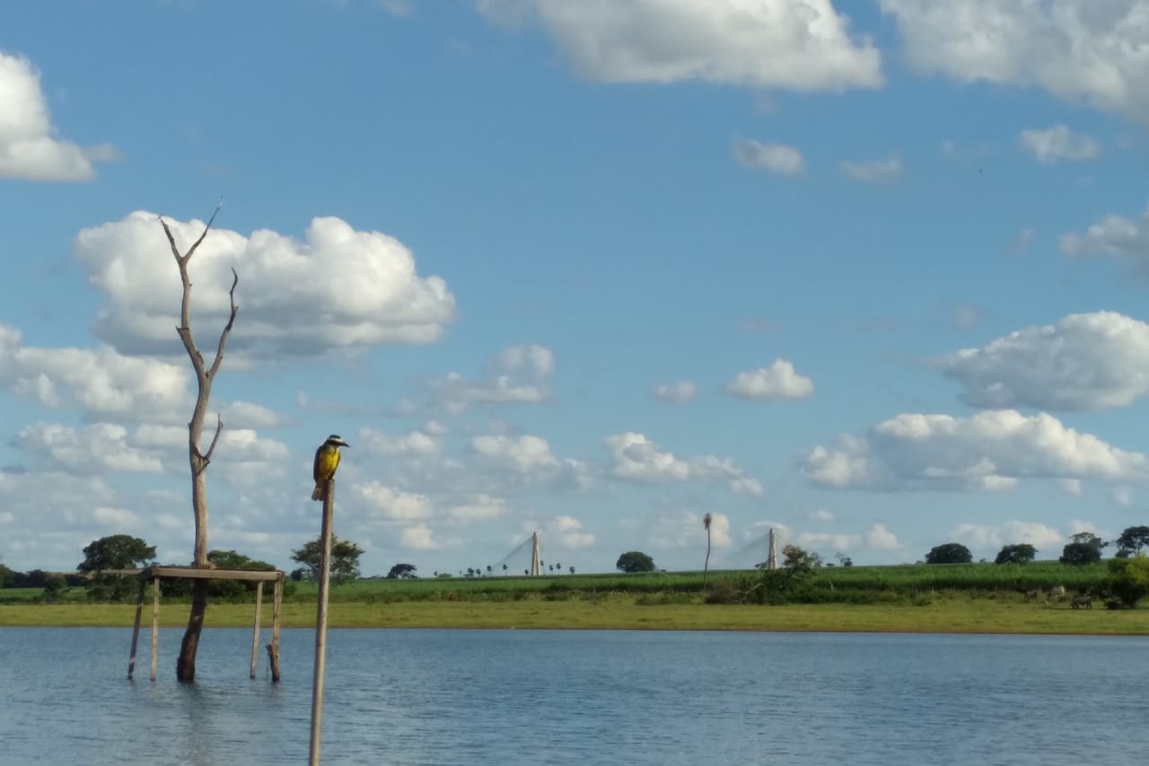 Céu parcialmente nublado a claro em todas as áreas e não há expectativa de chuva - Talita Matsushita/JPNEWS