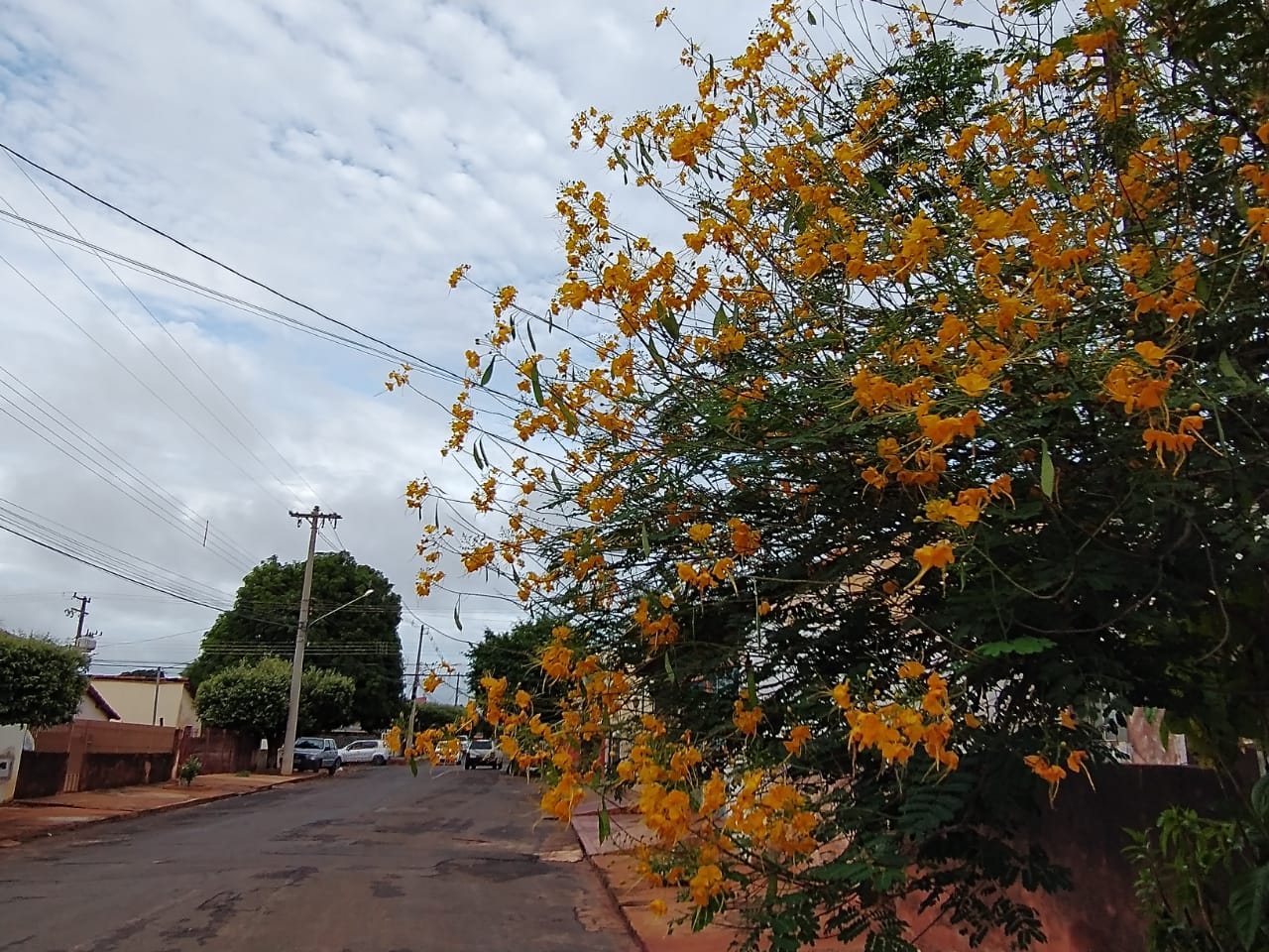 O dia começa com céu parcialmente nublado e haverá aumento de nuvens ao longo do dia - Talita Matsushita/JPNEWS