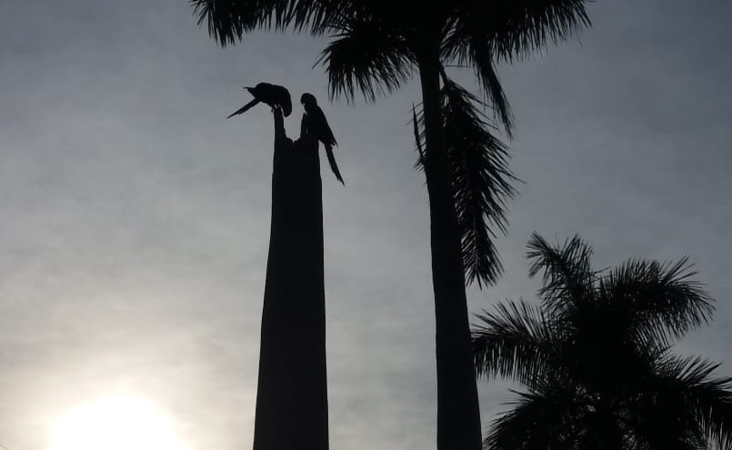 A tendência é que os dias desta semana fiquem nublados, com manhãs mais frescas e tardes mais quentes - Arquivo/RCN67