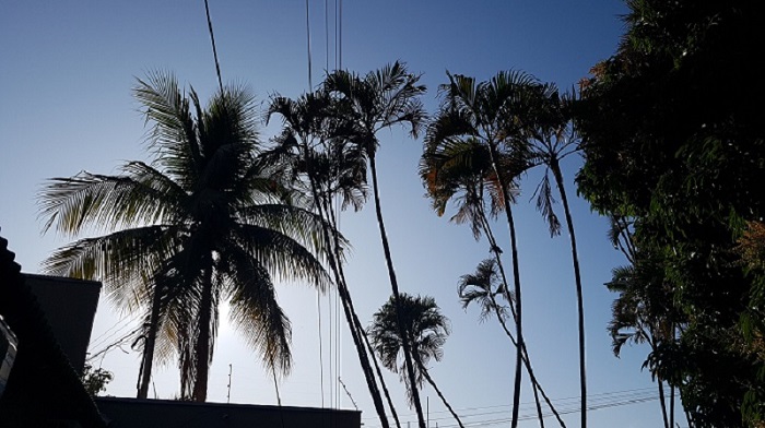 Céu claro com formação de nuvens no período da tarde/RCN67 -