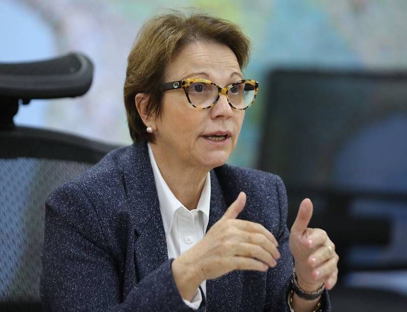 Ministra da Agricultura Tereza Cristina - Divulgação