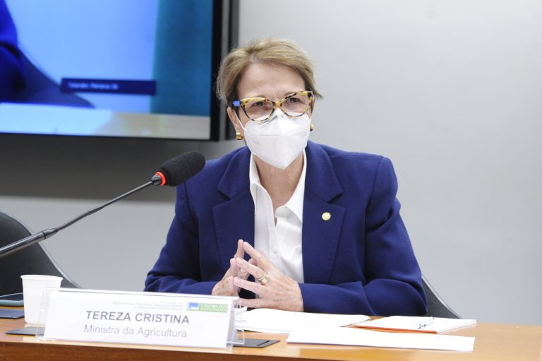 Ministra da Agricultura Tereza Cristina - Agência Câmara