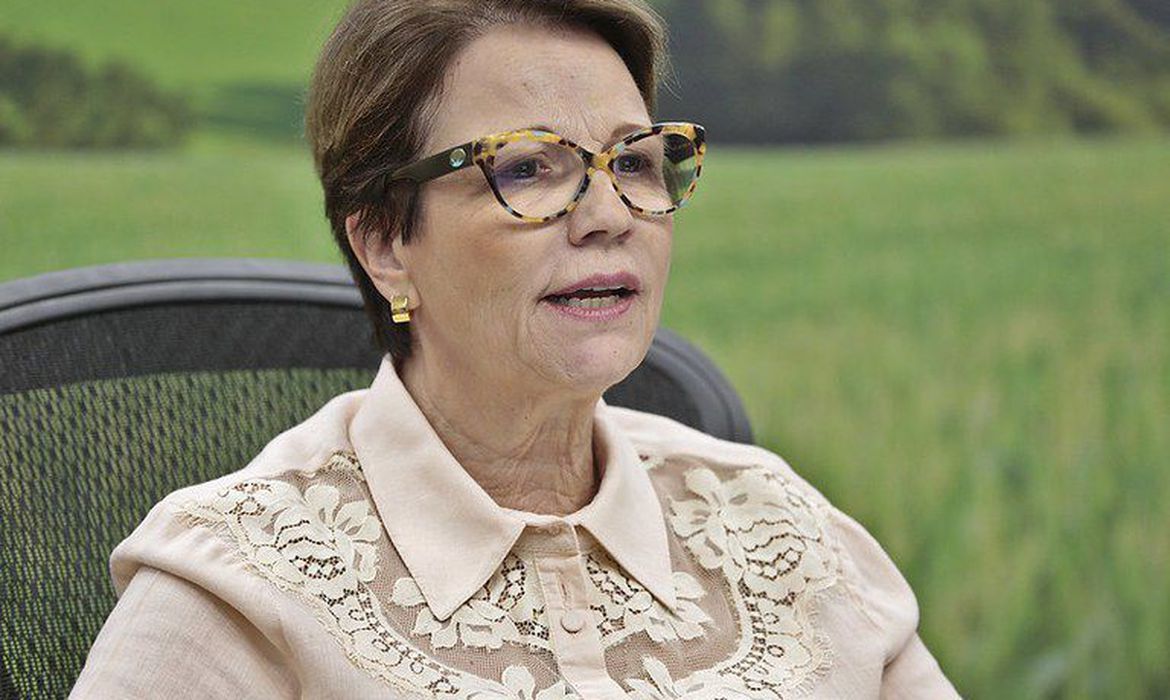 Ministra da Agricultura, Teresa Cristina, vai seguir orientação do presidente Jair Bolsonaro - Reprodução