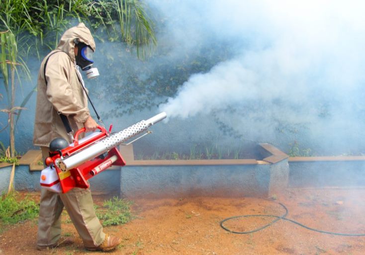 Foram detectadas formas aladas de mosquitos nos bueiros. - Divulgação/Assessoria