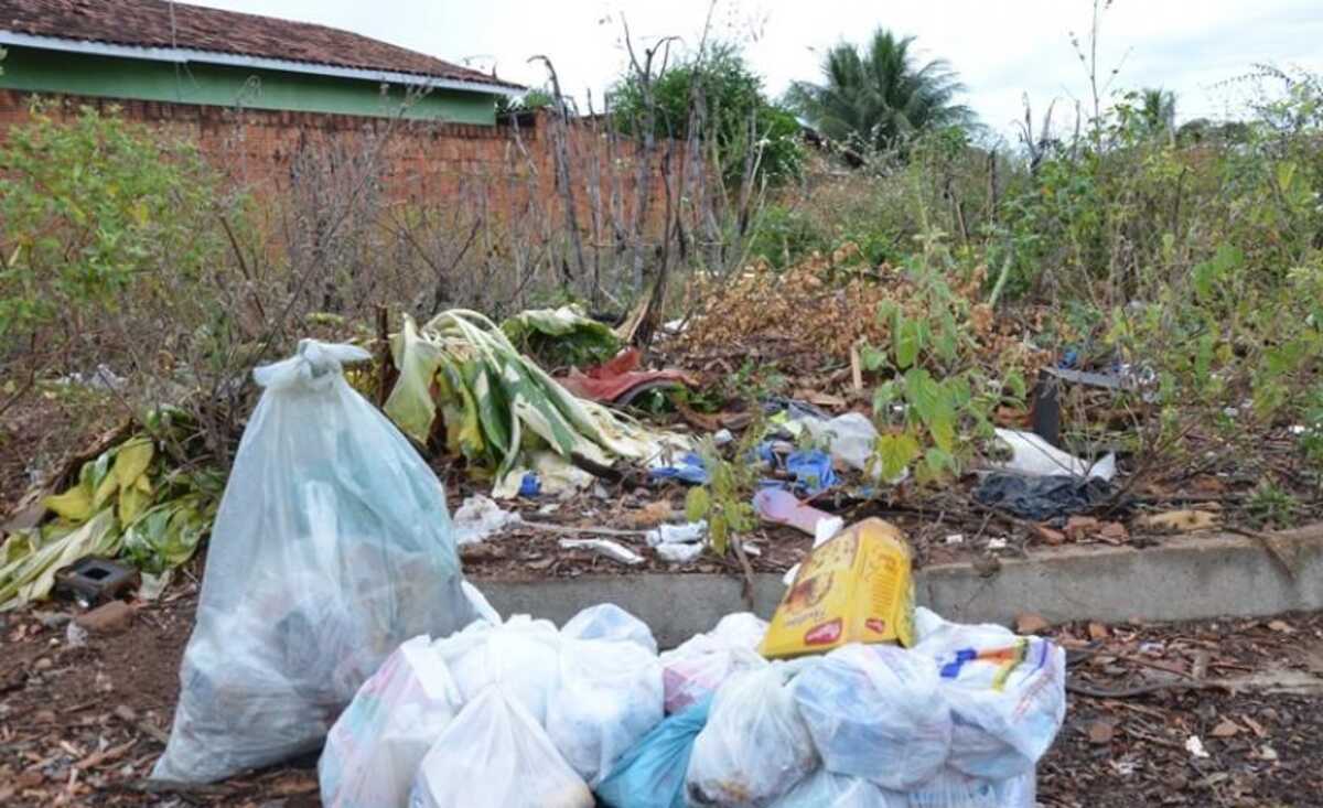 Até agora, mais de 100 terrenos já foram limpos - Arquivo/JPNews