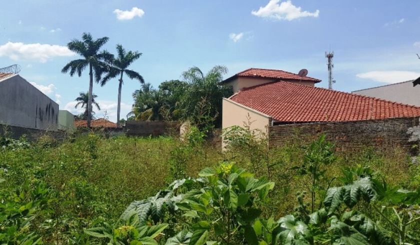 Terreno baldio com falta de limpeza em Três Lagoas - Arquivo/JPNews