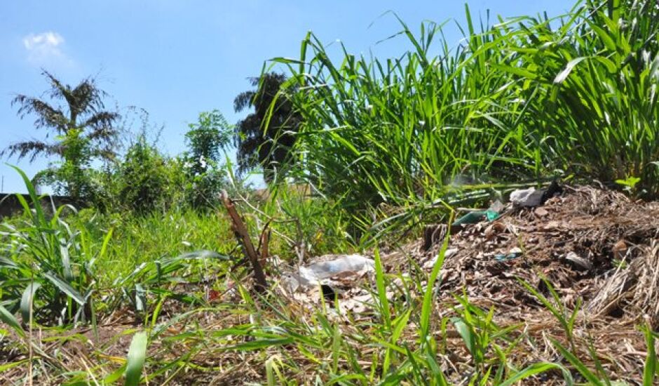 Terrenos e lotes ocupados com entulhos, lixo e vegetação daninha, devem ser limpos no prazo de até 15 dias. - Arquivo/JPNews