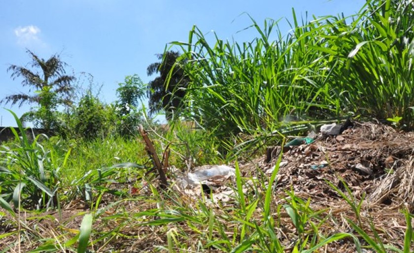 Prefeitura multa mais de 280 proprietários de terrenos baldios - Arquivo/JPNews