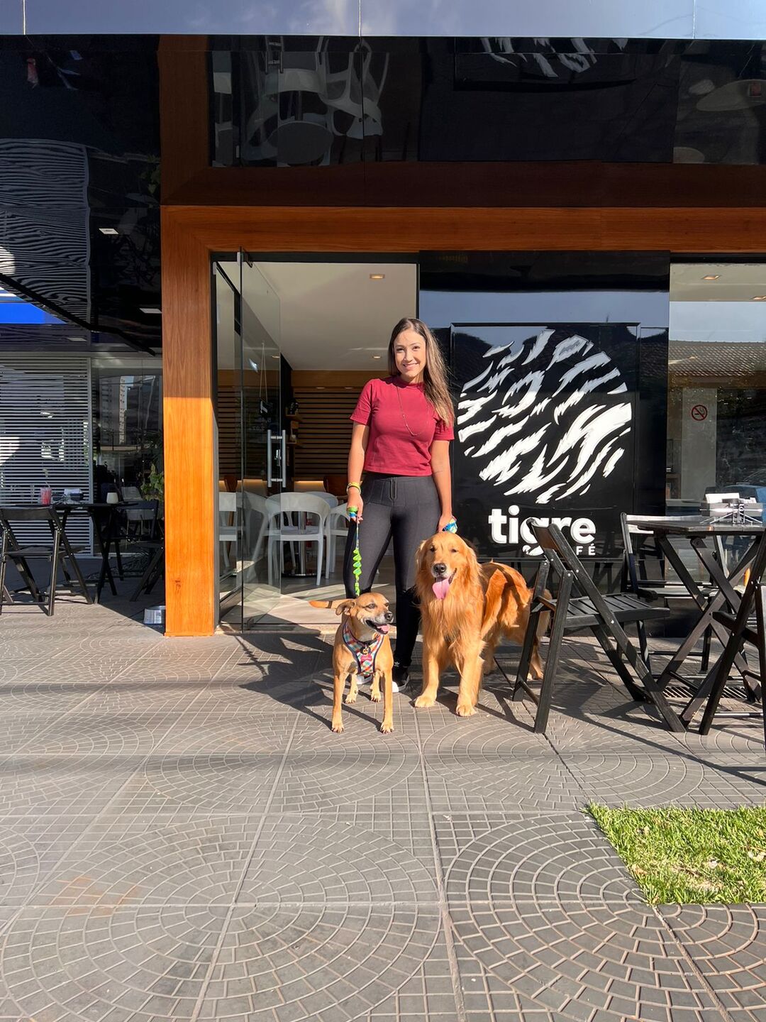 Cafeteria da capital arrecada doações para cães e gatos abandonados - Foto: Divulgação