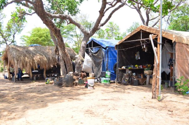 Foram 74 trabalhadores encontrados na área rural do Estado pelo Ministério Público do Trabalho. - Foto: MPT-MS