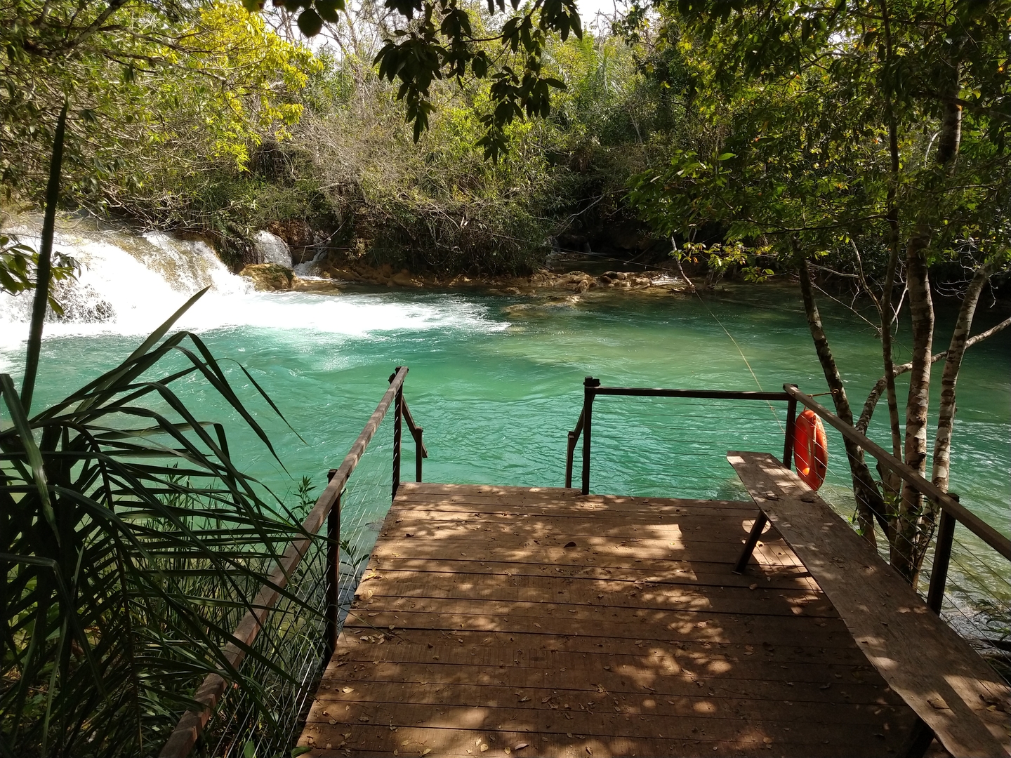 Lei deve impor fiscalização mais severa em torno das bacias e quem infringir será penalizado - Foto: Tripadvisor