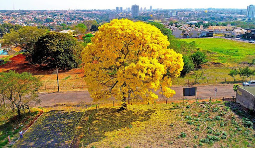 Primavera deste ano será menos quente em MS - Foto: Arquivo/Portal MS