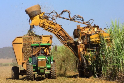 Brasil é o maior produtor de cana-de-açúcar no mundo - Foto: Reprodução Agência Brasil