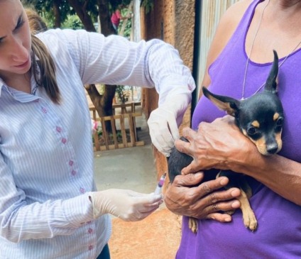 O objetivo é incentivar e aumentar a imunização dos animais no município - Arquivo/ JPNews