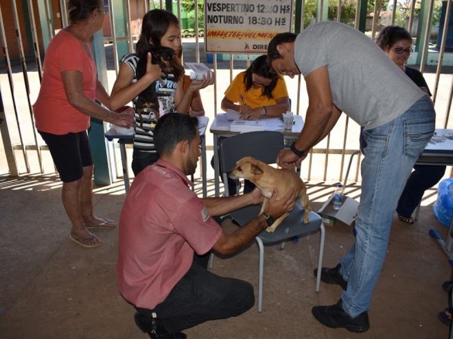 A raiva é uma doença que pode ser transmitida pela saliva, a melhor forma de diminuir os casos da doença é vacinando os animais - Reprodução