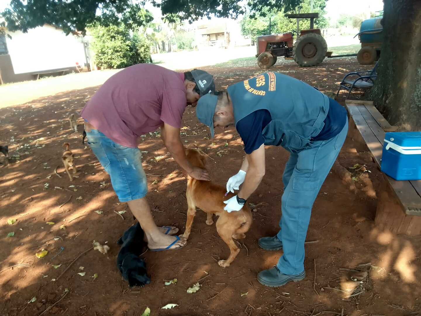 - Foto: Reprodução/ Prefeitura de Campo Grande