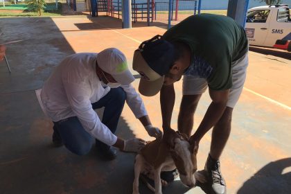 A vacinação será realizada no sábado (25), das 8h às 16h - Reprodução