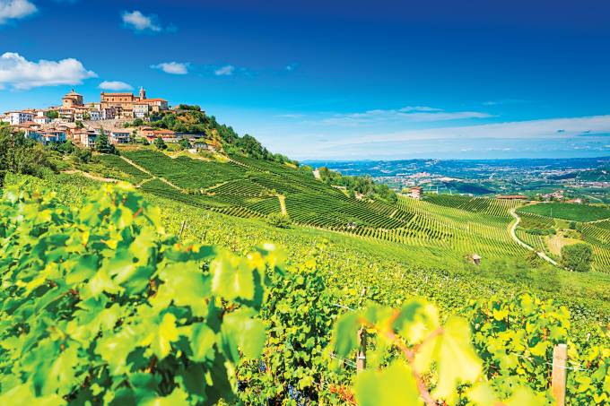 Piemonte: vinhedos, trufas e vinhos nobres - Foto: Lara Belova