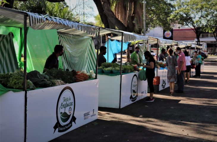 Feira da Praça do Rádio Clube acontece às quartas-feiras - Foto: Reprodução/CBN-CG