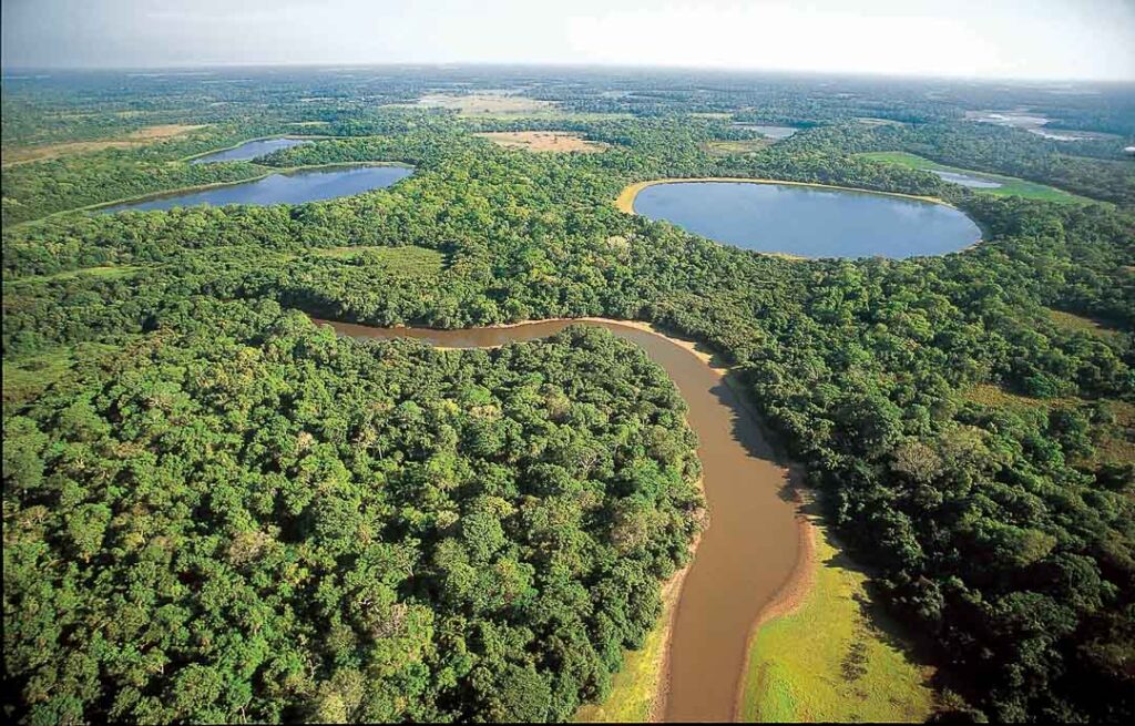 Outros dois programas relevantes serão lançados: o Monitor de Geração de Alertas de Desmatamento Ilegal e o Sistema de Certificação Ambiental - Foto:Reprodução/Destinos incríveis