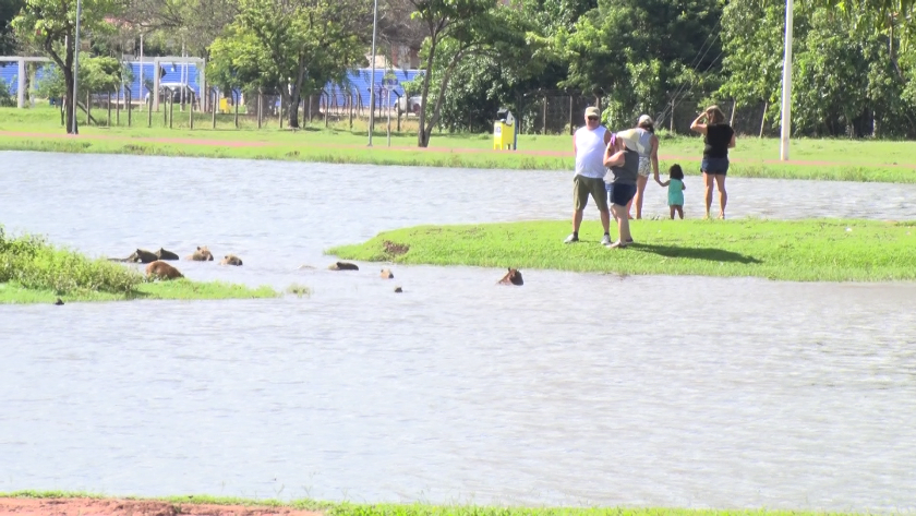 A previsão indica que o calor deve aumentar ainda mais nesta semana, com possibilidade de quebrar recordes históricos. - Arquivo/JPNews