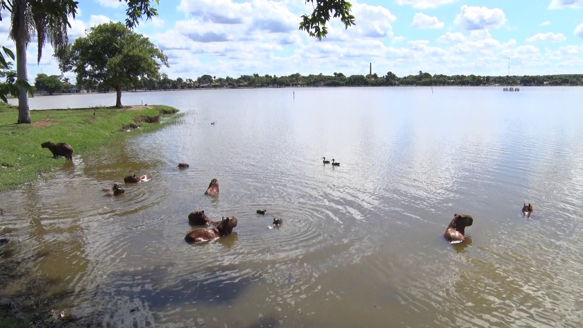 Lagoa Maior é o cartão postal de Três Lagoas. - Foto: Reprodução/TVC