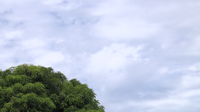 Temperatura máxima pode chegar a 37°C em Três Lagoas.