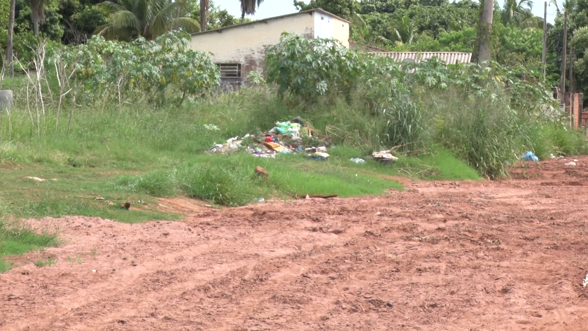 Prática tem contribuído para a proliferação de insetos e animais peçonhentos no bairro.