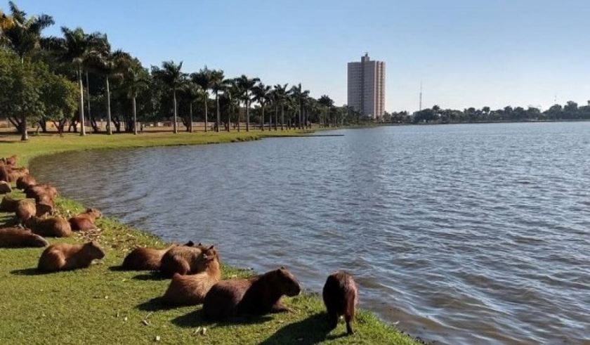 Lagoa maior é um dos principais cartões postais da cidade. - Foto: Arquivo/JPNews