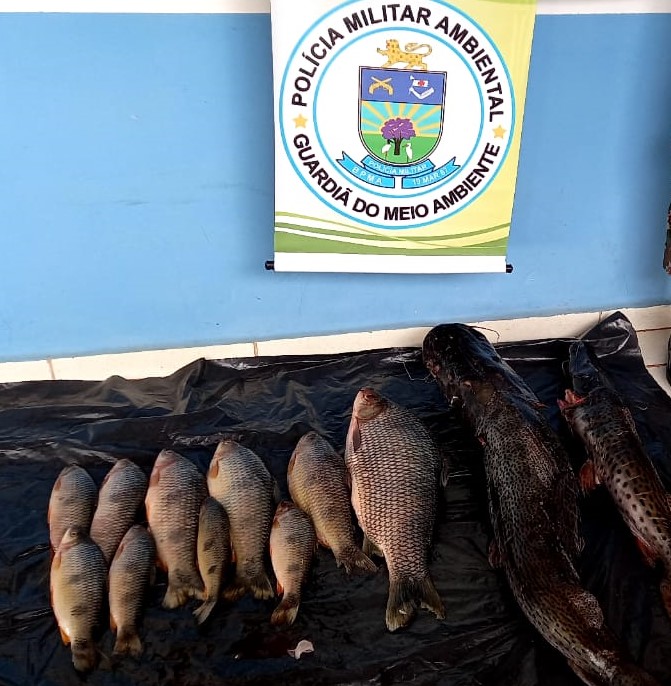 Além da multa foram apreendidos 20 kg de pescado - Divulgação/PMA