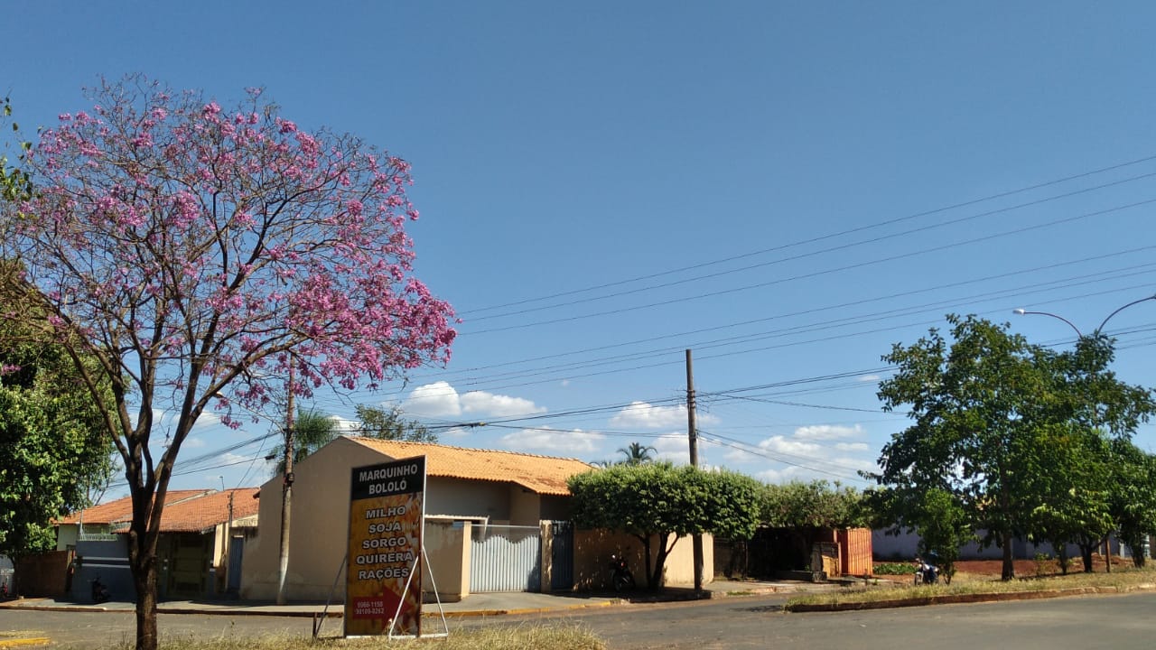 As temperaturas poderão registrar mínima de 17°C e máxima de 37°C em Mato Grosso do Sul. - Talita Matsushita / JPNEWS