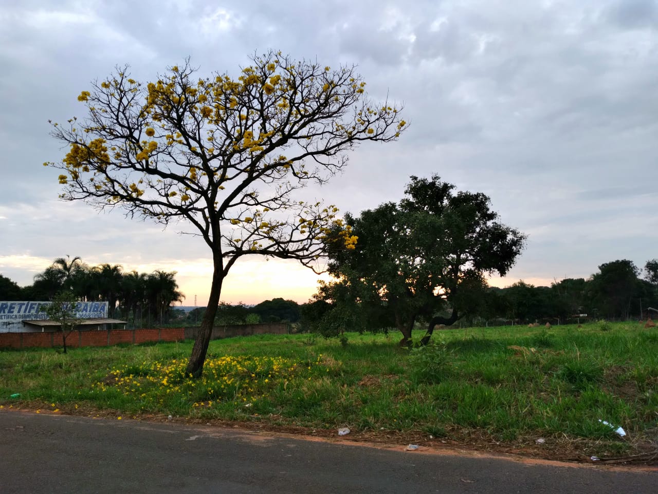 A previsão indica sol com algumas nuvens, pode chover a noite -