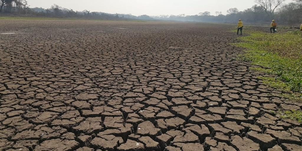 Queda das cheias e fogo no Pantanal estão entre preocupações de pesquisadores - Foto: Divulgação