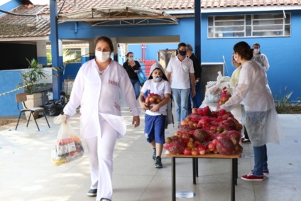 Os kits começaram a ser entregues na terça-feira em todas as escolas e Ceis - Divulgação