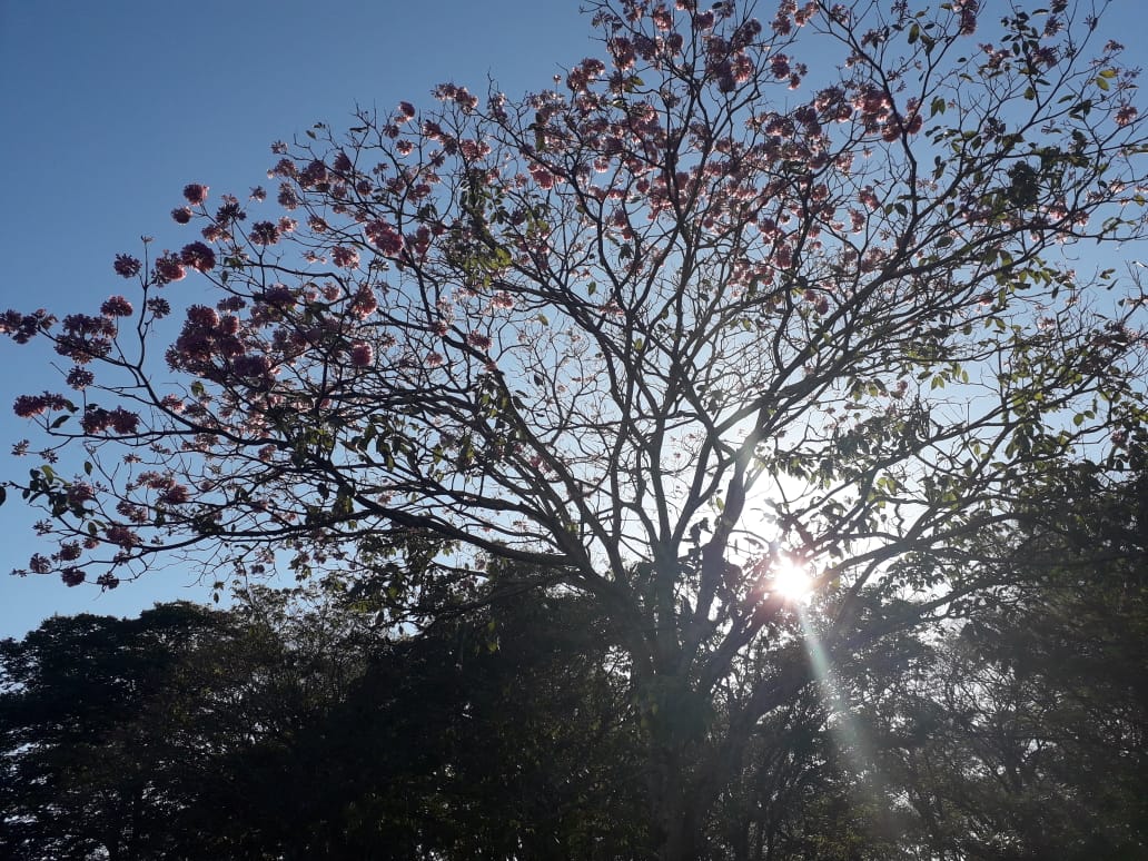 Uma grande massa de ar quente e seco continua atuando sobre Mato Grosso do Sul neste final de semana. - ARQUIVO JPNEWS