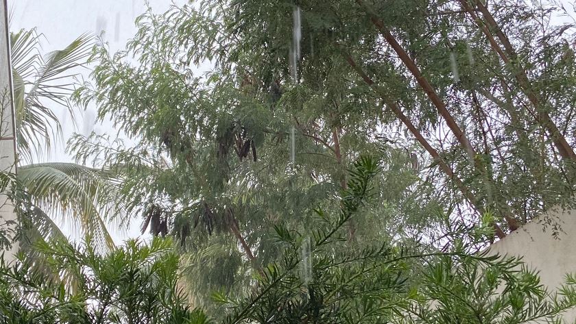 Quinta-feira será marcada por calor e pancadas de chuva em toda costa leste - Israel Espíndola/RCN67