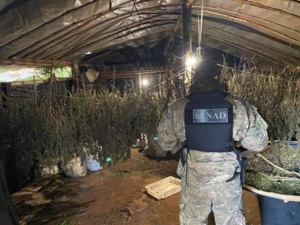 Ação da polícia paraguaia na região de fronteira - Foto: Divulgação/Senad