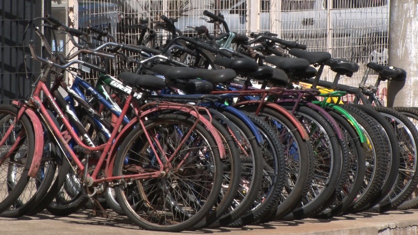 Segundo a Associação Três-Lagoense de Ciclistas, há cerca de 2 mil pessoas participando de atividades ciclísticas na cidade. - Reprodução/TVC