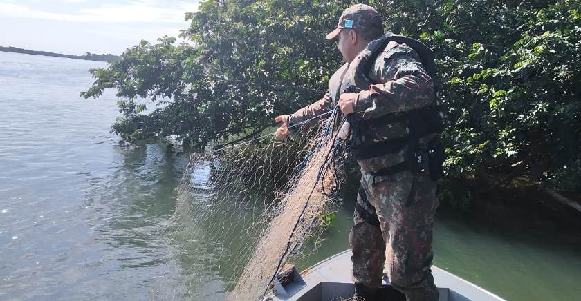 A operação faz parte das atividades em comemoração da Mês do Meio Ambiente - Divulgação/Assessoria